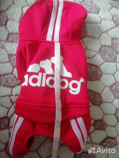 Одежда для собак мелких пород девочек