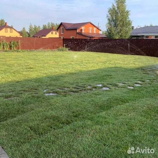 Рулонный газон, газон посевной