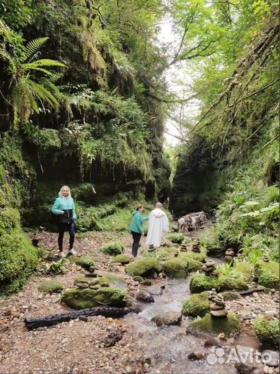 Йога-тур в Абхазию