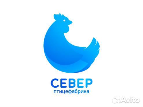 Ветеринарный санитар