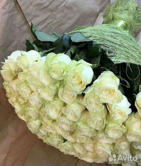 Длинные высокие розы 150 см