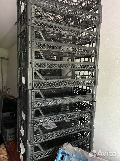 Пластиковые ящики бу