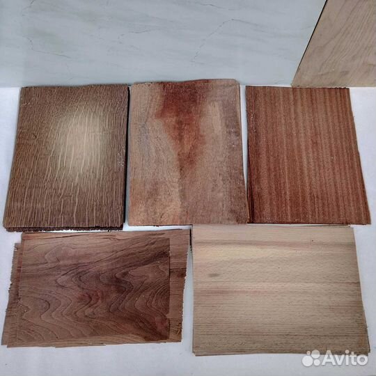 Шпон разных пород для творчества