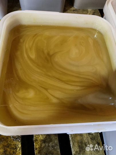 Свежий. Натуральный мед оптом