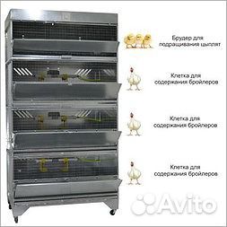 Миниферма для выращивания бройлера на мясо