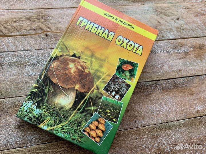 Книга все о грибах