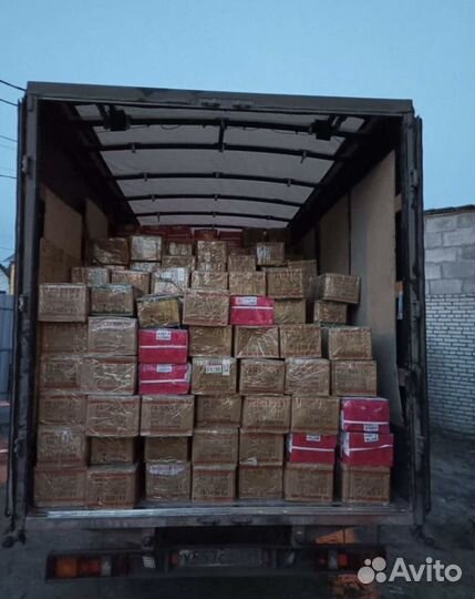 Грузчики на час