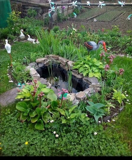 Участок 6 сот. (ИЖС)