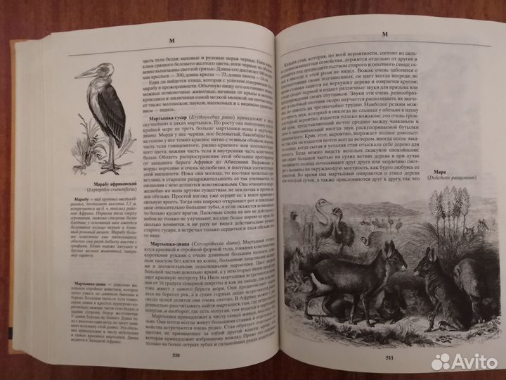 Книга. Биология. 