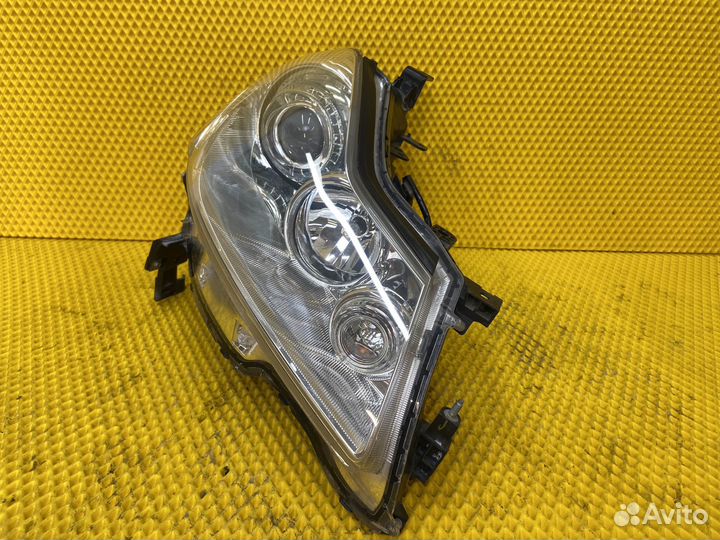 Комплект фар галоген infiniti M M35 M45 Y50