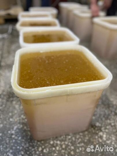 Донник свежий опт