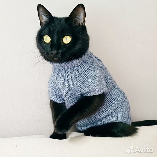 Свитер для кошки Вязаная кофта для животных