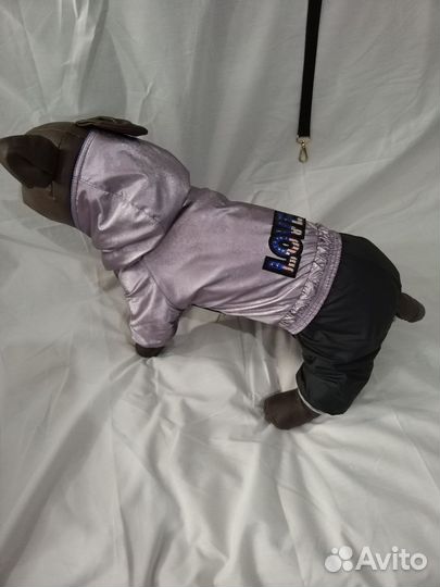 Одежда для собак, животных