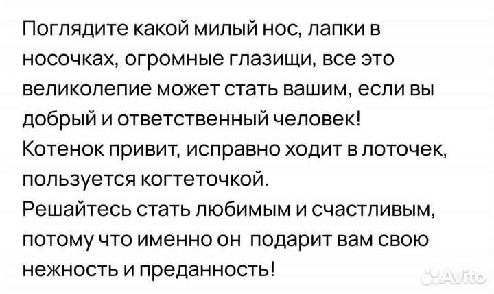 Великолепный нос