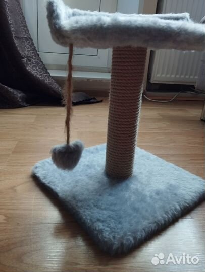 Когтеточка