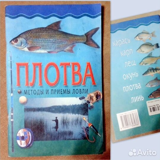 Эрудитам и меломанам. фен-шуй