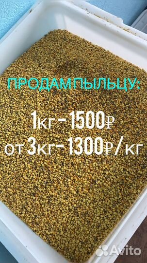 Продам пергу, пыльцу