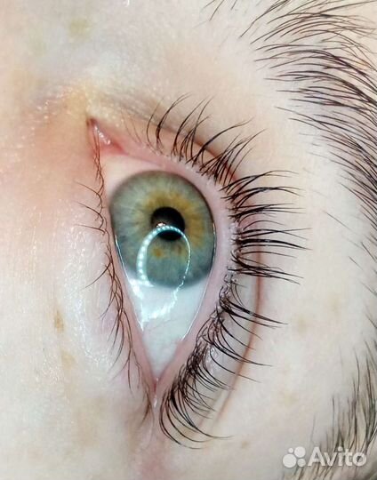 Ламинирование и ботокс ресниц