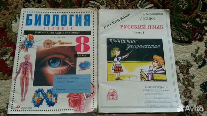 Рабочие тетради для школы 8-9 классы