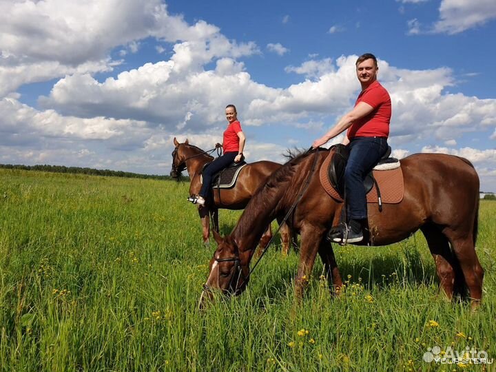 Конные прогулки, Верховая езда, катание на лошадях