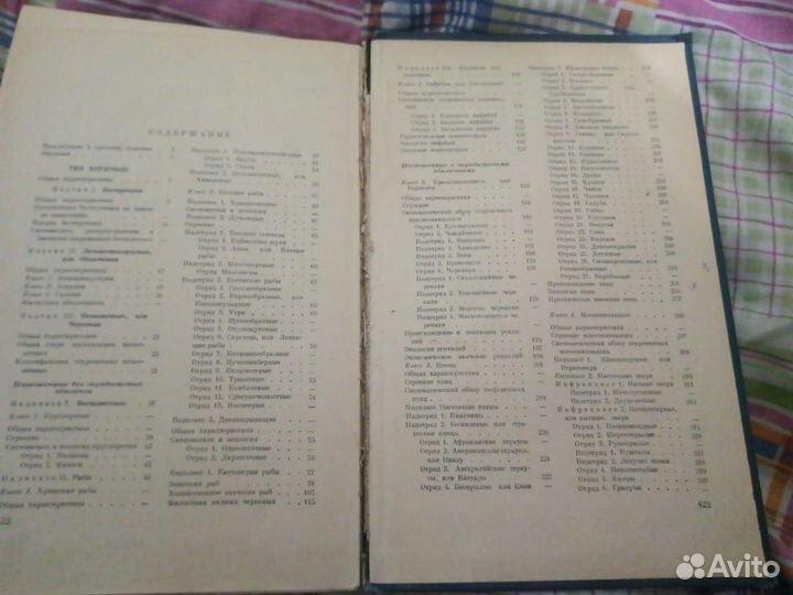 Зоология позвоночных. Наумов