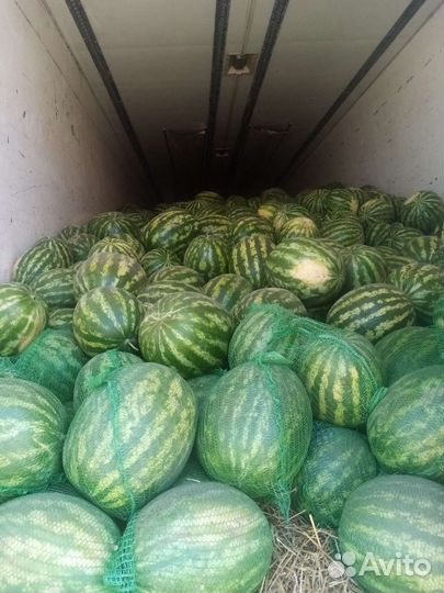 Продукты питания оптом