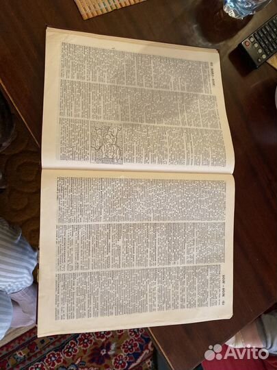 Советский энциклопедический словарь 1984 СССР