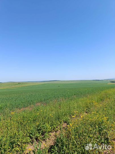 Продам Крестьянско-фермерское хозяйство