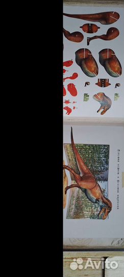 Книга Динозавр Rex, паспорт юного туриста