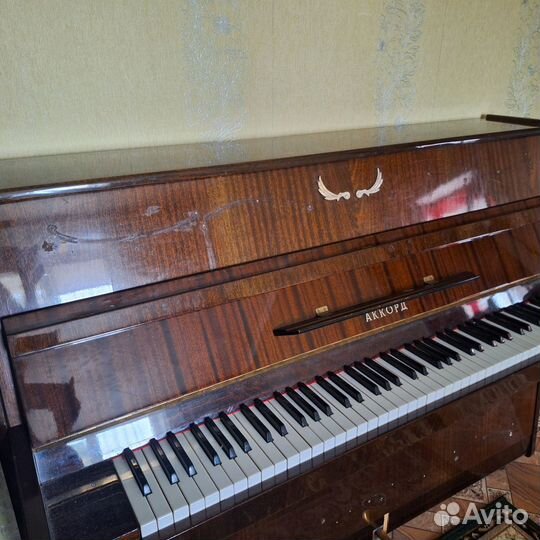 Отдам бесплатно