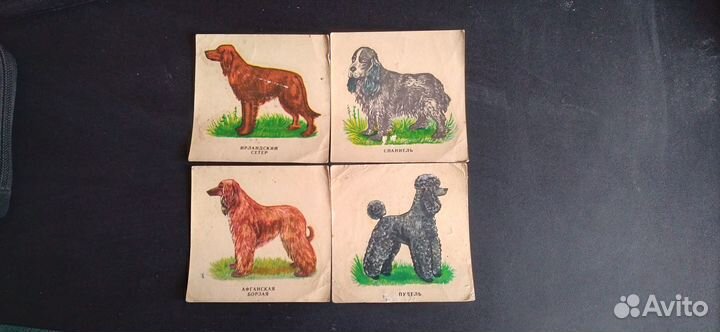 Переводные картинки СССР