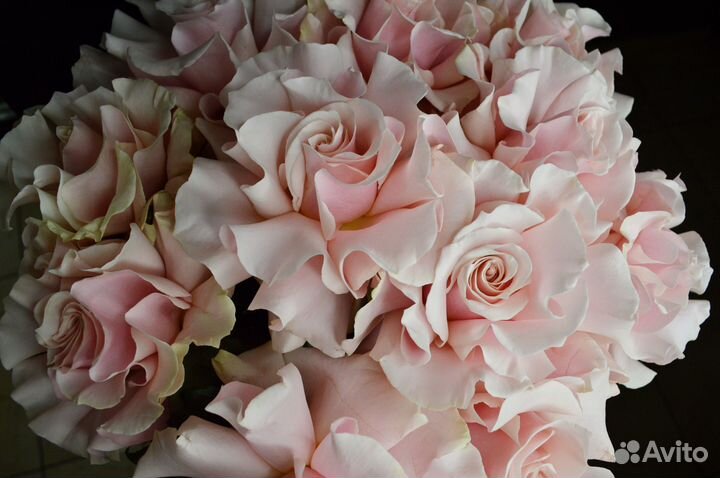 Французские розы (вывернутые розы)