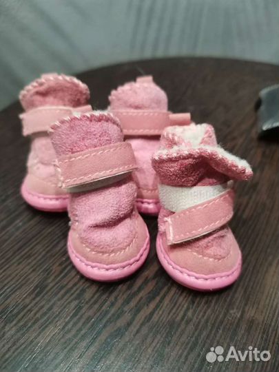 Ботинки для собак