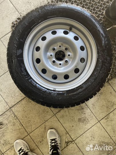 Tigar Sigura Stud 175/65 R14