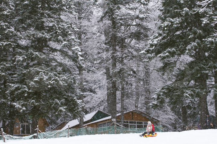 Участок 80 сот. (СНТ, ДНП)