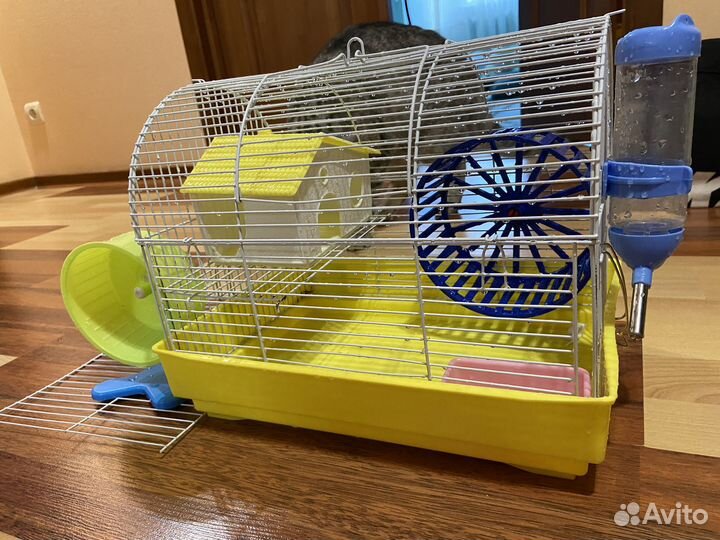 Клетка - дом для хомяков