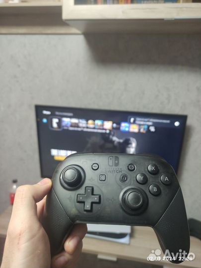 Nintendo switch pro controller