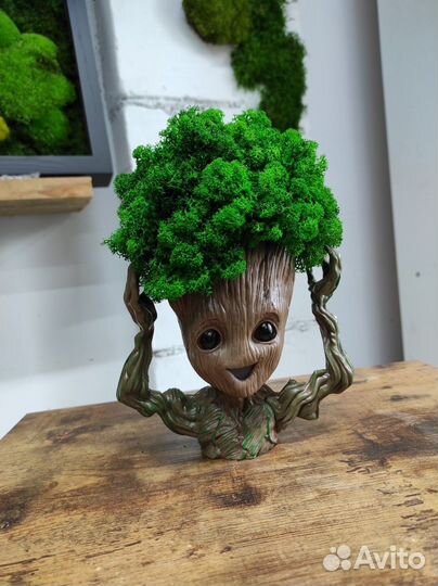 Стабилизированный мох картина