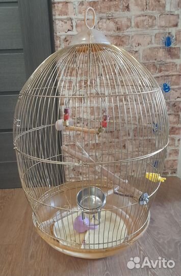 Клетки для птиц
