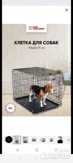 Клетка вольер для собак и кошек (Аренда)