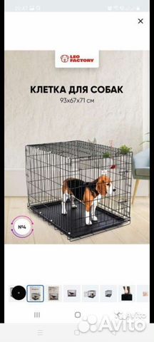 Клетка вольер для собак и кошек (Аренда)