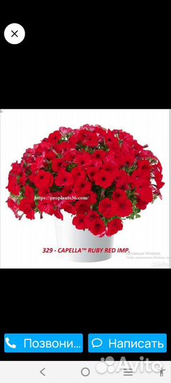 Искусственные цветы