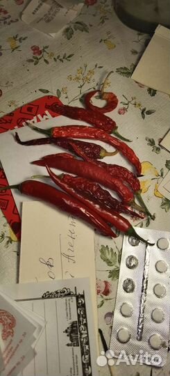 Перец острый, лавр