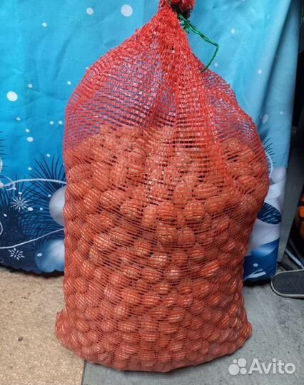 Грецкий орех