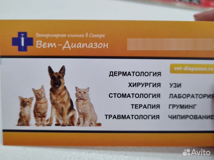 Ассистент ветеринарного врача