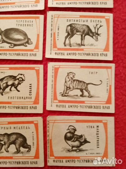 Спичечные этикетки. Фауна Амуро-Уссурийского края