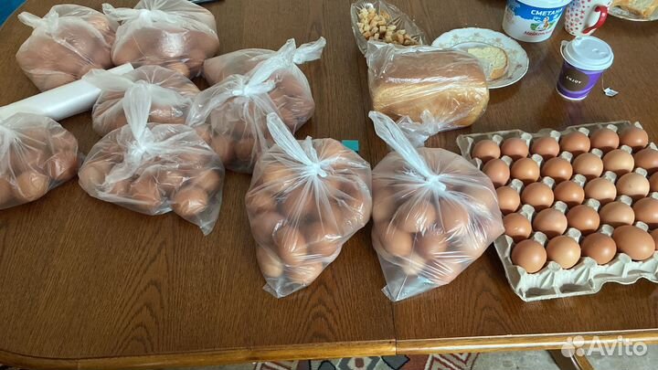 Домашние яйца