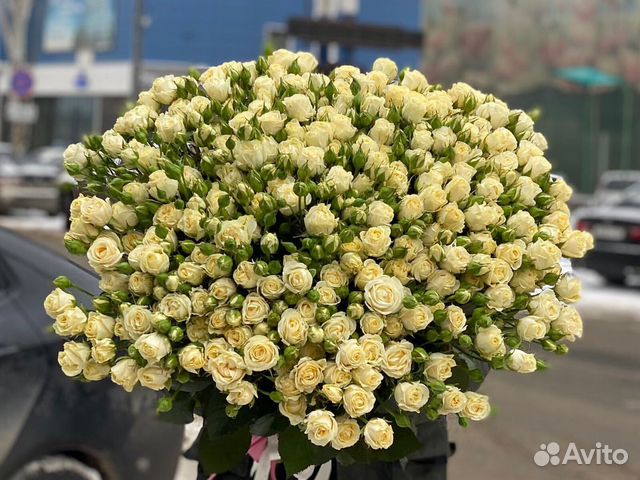 Кустовые розы цветы букеты доставка 51 25 15