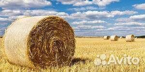 Сено солома в рулонах