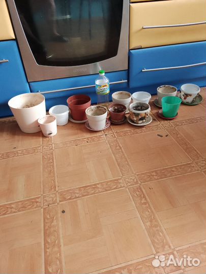 Горшки под растения